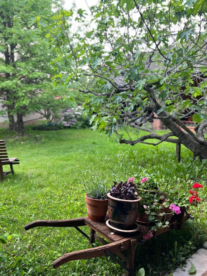 La Casa Arancione Ξενοδοχείο Boves Εξωτερικό φωτογραφία